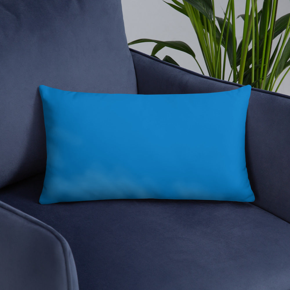 FLUX Basic Pillow