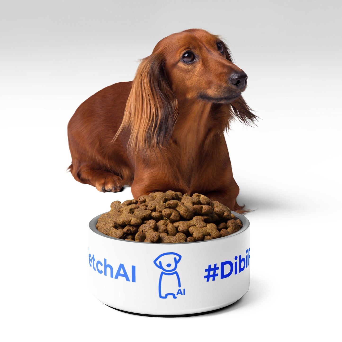 Pet bowl #DibiFetchAI